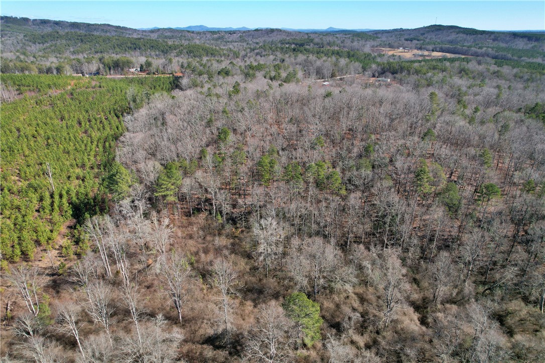 334 Ridge Road Salem, SC 29676 - Photo 21 of 33 Gallery Image 21