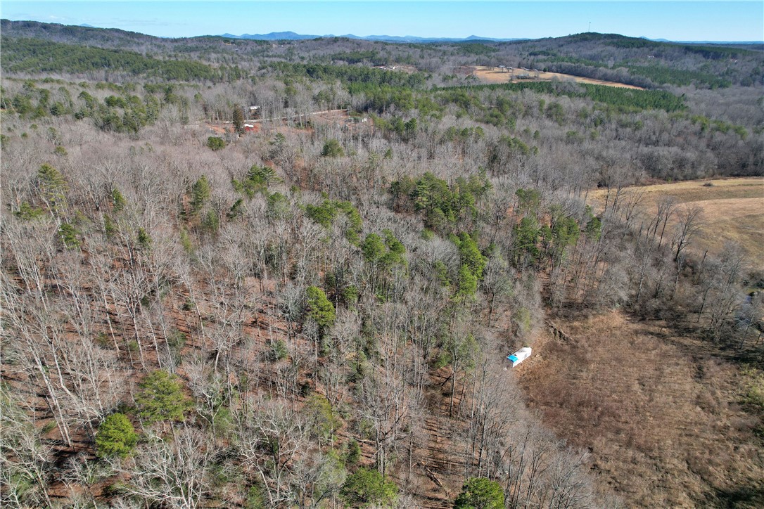 334 Ridge Road Salem, SC 29676 - Photo 23 of 33 Gallery Image 23