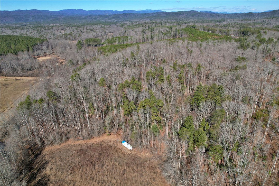 334 Ridge Road Salem, SC 29676 - Photo 24 of 33 Gallery Image 24
