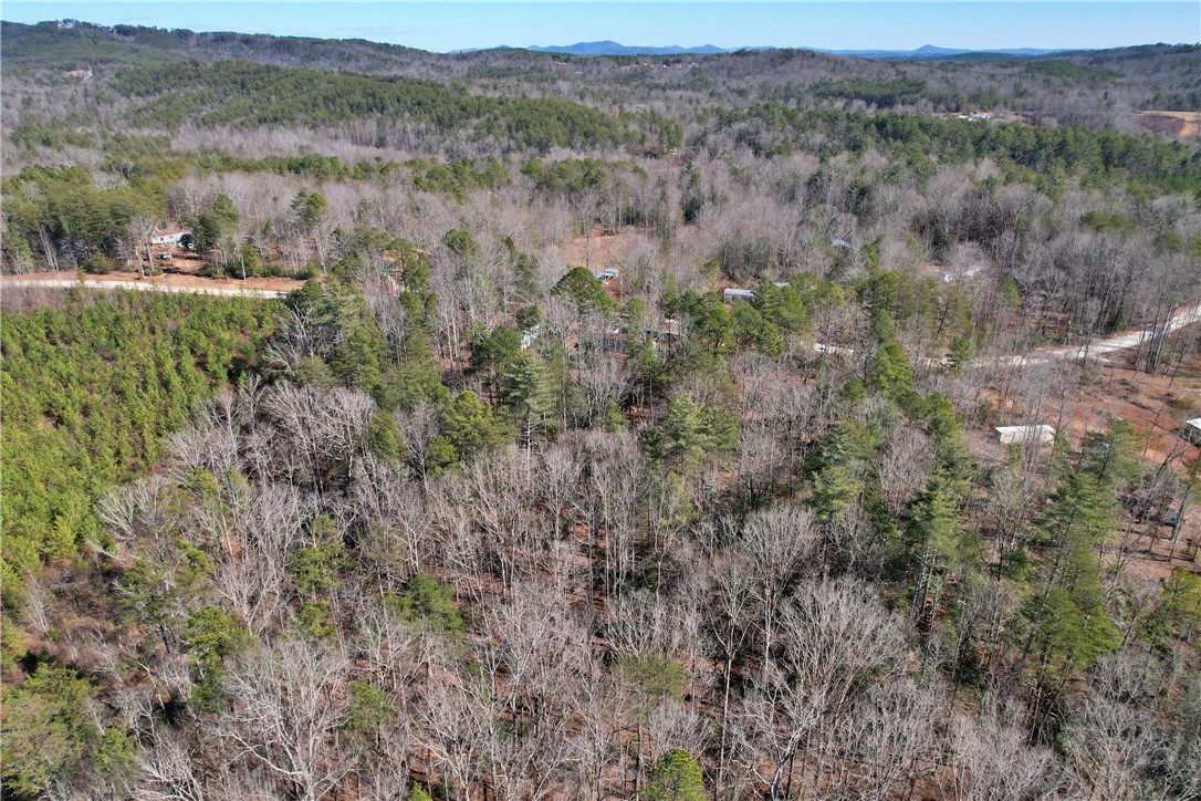 334 Ridge Road Salem, SC 29676 - Photo 27 of 33 Gallery Image 27