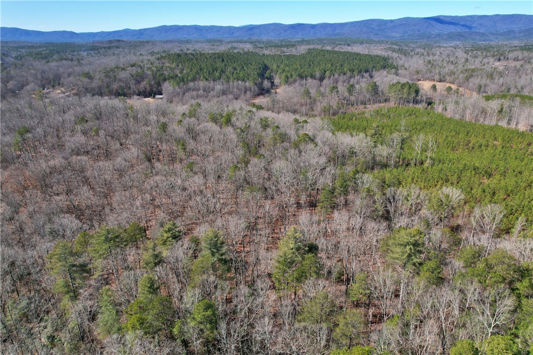 334 Ridge Road Salem, SC 29676 - Photo 28 of 33 Gallery Image 28