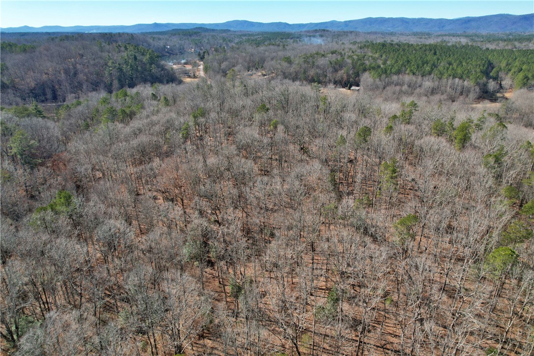 334 Ridge Road Salem, SC 29676 - Photo 32 of 33 Gallery Image 32