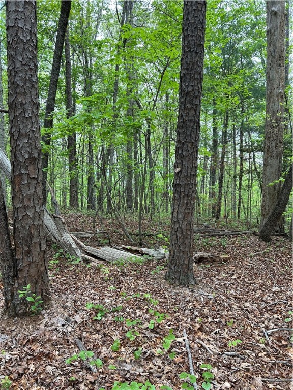334 Ridge Road Salem, SC 29676 - Photo 6 of 33 Gallery Image 6