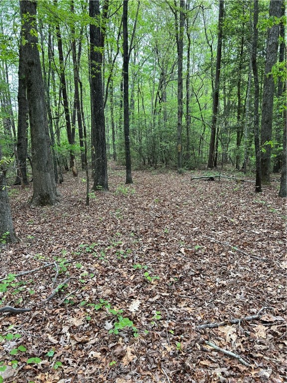 334 Ridge Road Salem, SC 29676 - Photo 7 of 33 Gallery Image 7