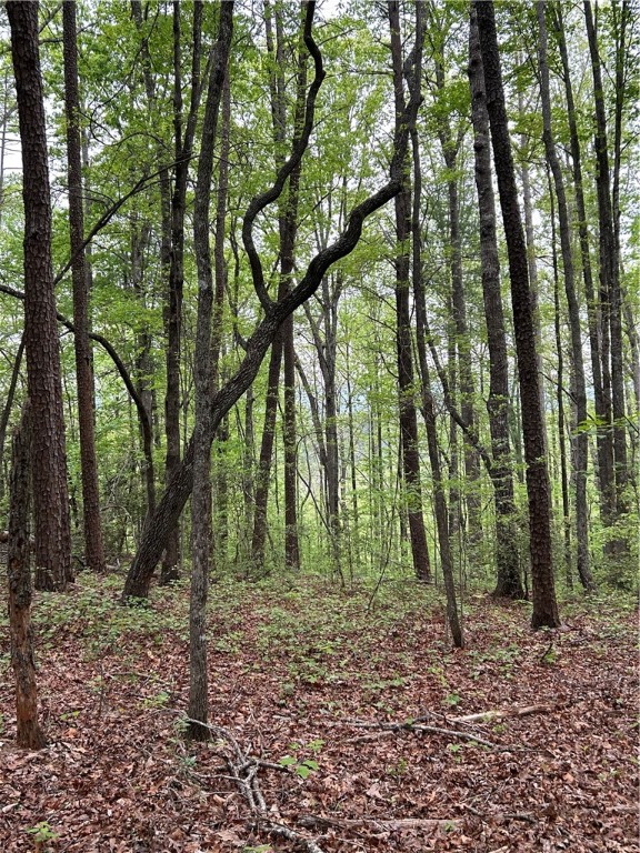 334 Ridge Road Salem, SC 29676 - Photo 8 of 33 Gallery Image 8