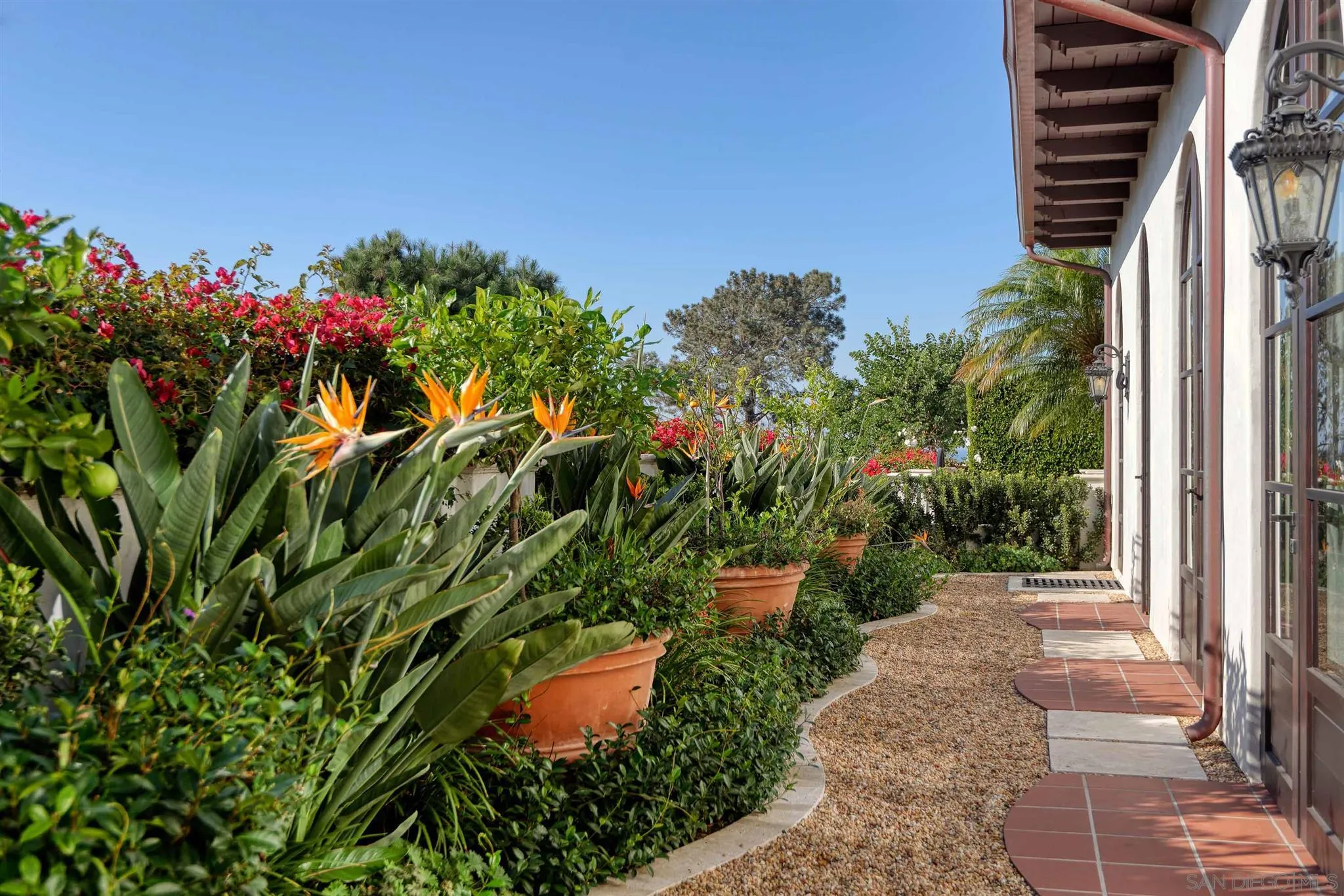 7907 Princess Street La Jolla, CA 92037 - Photo 37 of 41 a picture of flowers