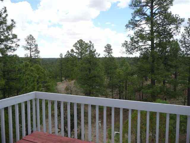 2904 Cedar Ridge Drive Overgaard, AZ 85933 - Photo 5 of 5