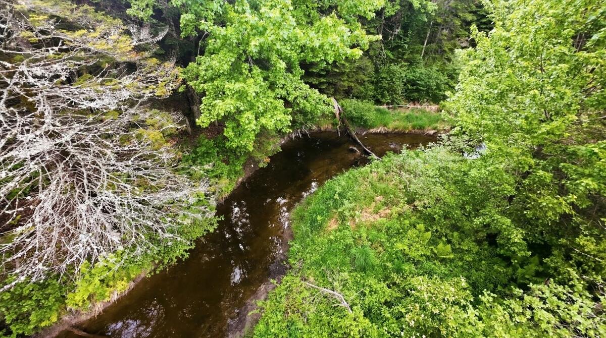 139 Lloyd Road Anson, ME 04911 - Photo 67 of 91 Stream