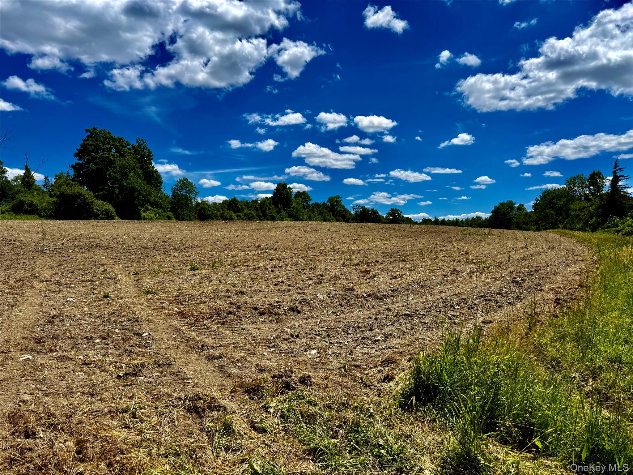 513 Rossway Road Pleasant Valley, NY 12569 - Photo 8 of 17 Field Number 2#