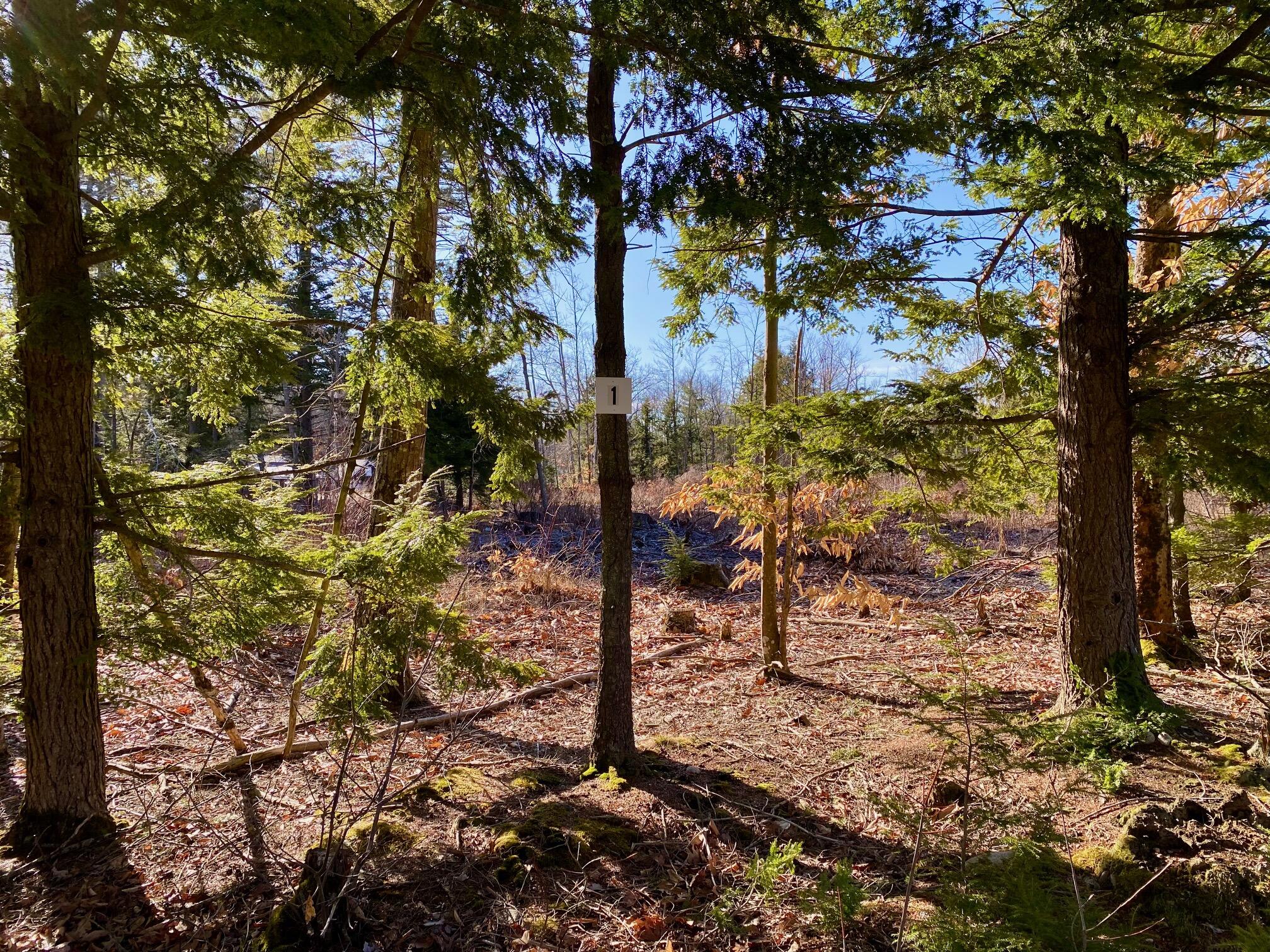 Lot 1 Great Falls Road Gorham, ME 04038 - Photo 2 of 4 IMG_1150