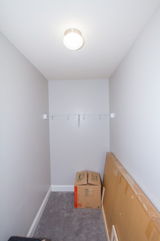 101 Tropical Way Anderson, SC 29621 - Photo 36 of 43 Large walk-in closet in bedroom #4