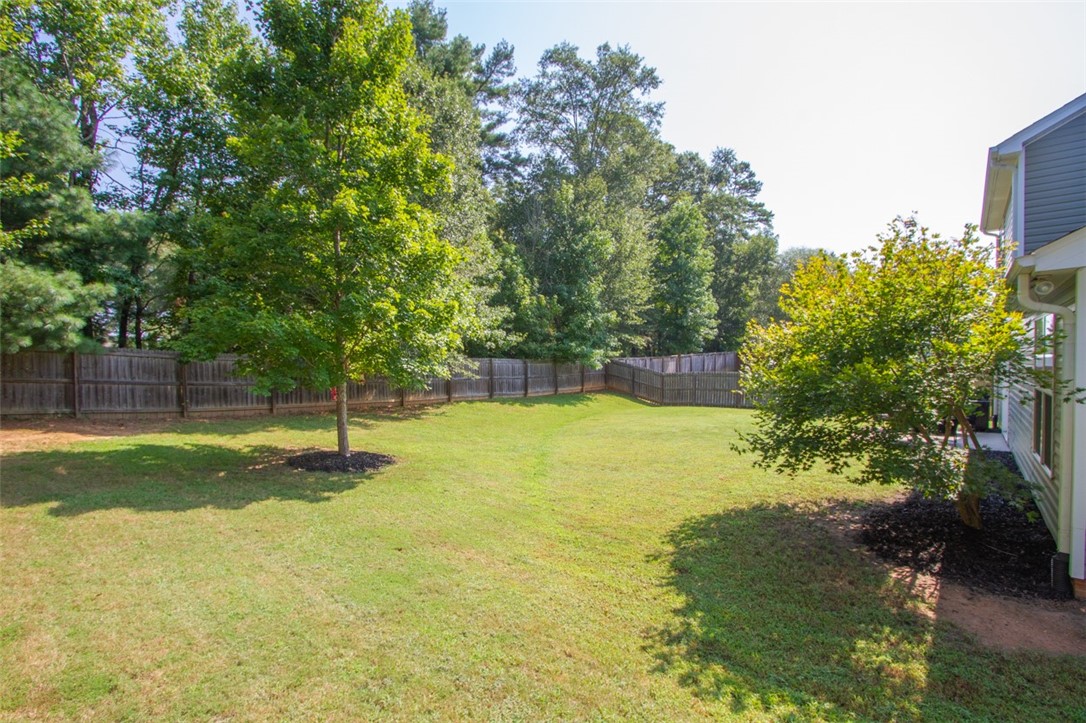 101 Tropical Way Anderson, SC 29621 - Photo 38 of 43 Plenty space to entertain in this backyard!