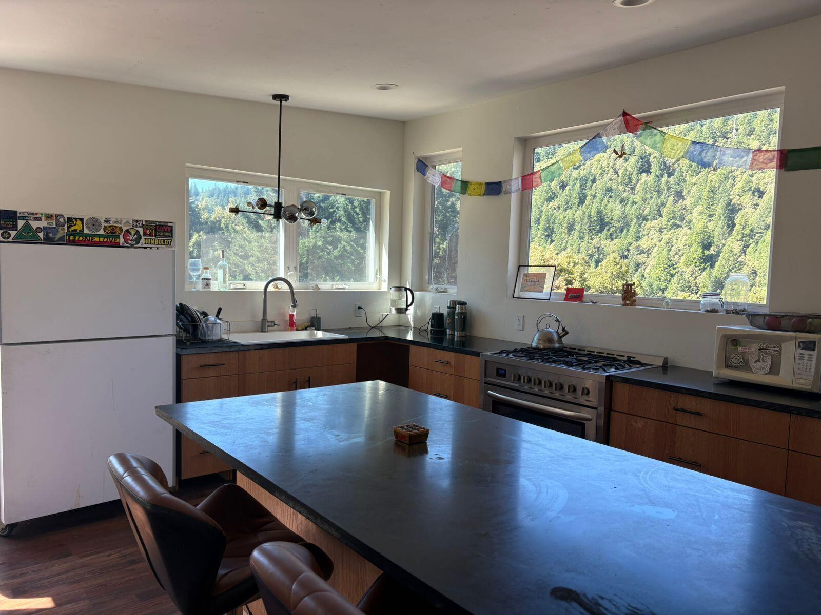 77320 Usal Road Whitethorn, CA 95589 - Photo 1 of 1