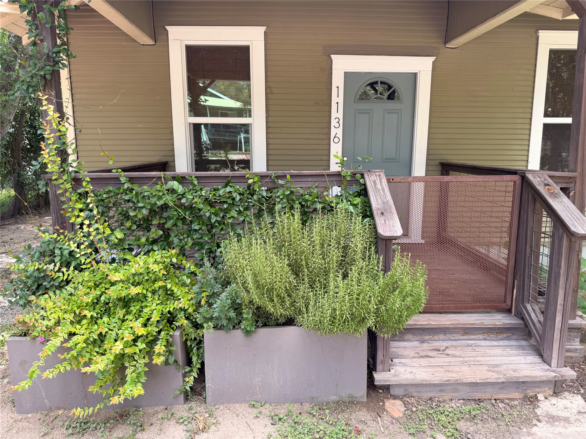 1136 Eleanor Street Austin, TX 78721 - Photo 29 of 30 A charming entry with a paneled front door framed by mature climbing greenery and contemporary planters.
