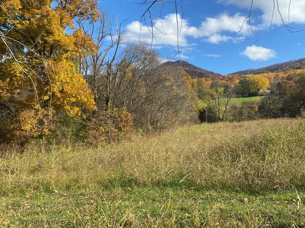 12 Thomas Cross Road Sevierville, TN 37876 - Photo 4 of 9