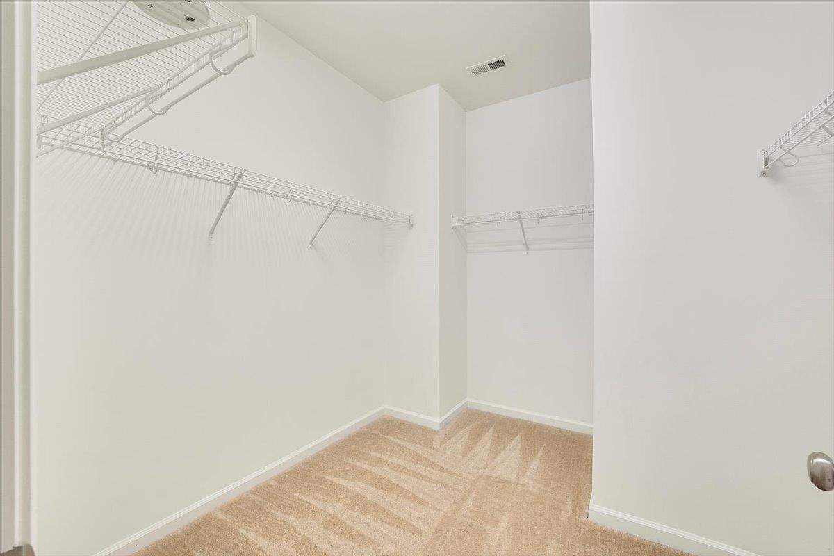203 Zante Currant Road Durham, NC 27703 - Photo 14 of 28 This large walk in closet has plenty of room for any clothes lover but there is a seperate clothes closet as well. Go ahead and buy those extra pair of shoes. We won't judge. Primary BR Walk In Closet