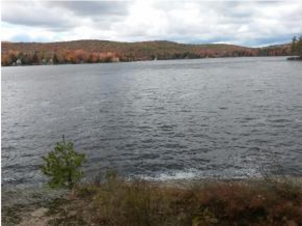 M20-l92 Long Pond Road Washington, NH 03280 - Photo 6 of 6 Gallery Image 6