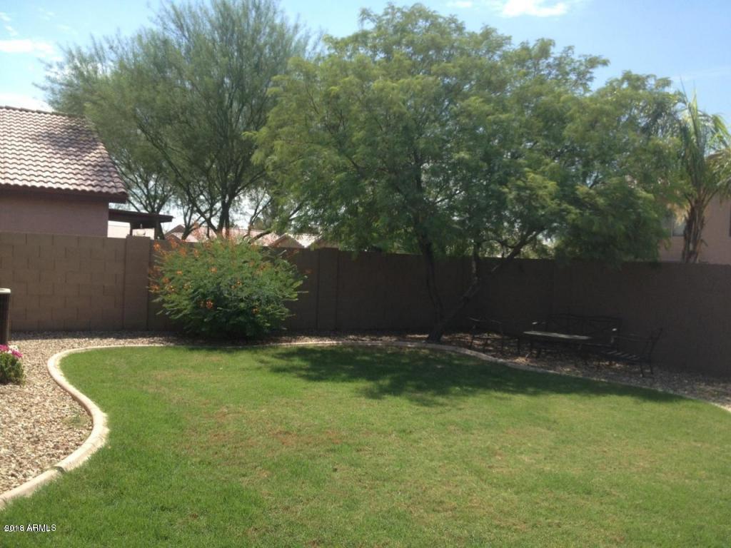 17259 West Apache Street Goodyear, AZ 85338 - Photo 4 of 6 apache grassy back yard