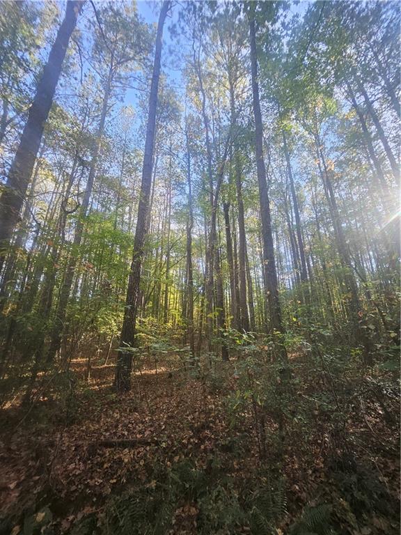 4861 Moon Road Powder Springs, GA 30127 - Photo 2 of 9 a yard with lots of green space and trees