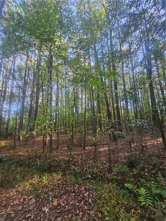 4861 Moon Road Powder Springs, GA 30127 - Photo 3 of 9 a view of forest