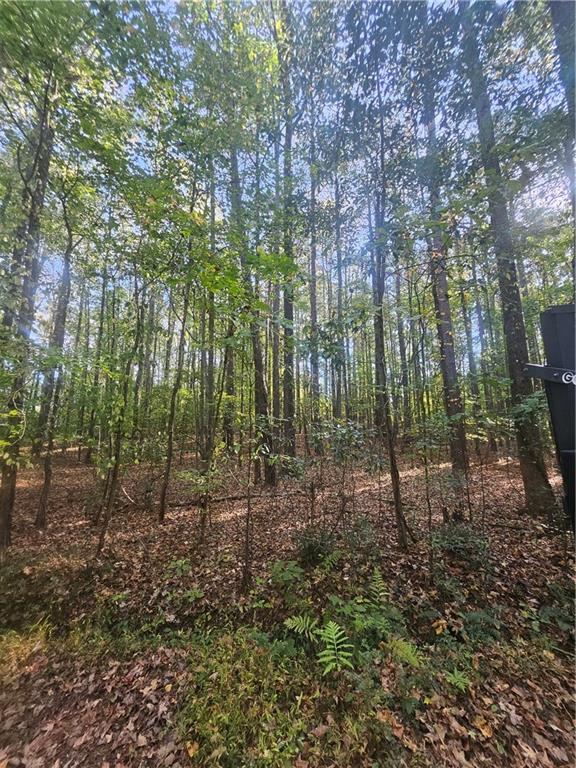 4861 Moon Road Powder Springs, GA 30127 - Photo 4 of 9 a view of a forest with trees