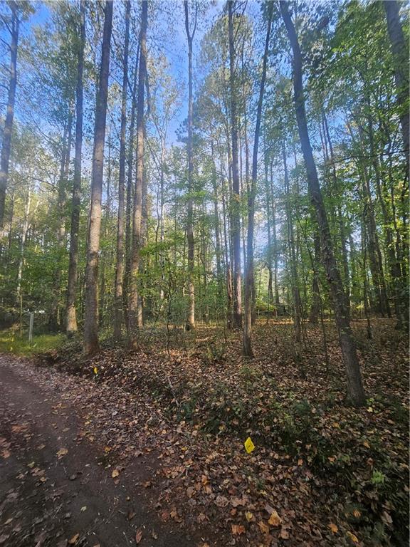 4861 Moon Road Powder Springs, GA 30127 - Photo 6 of 9 a view of a forest