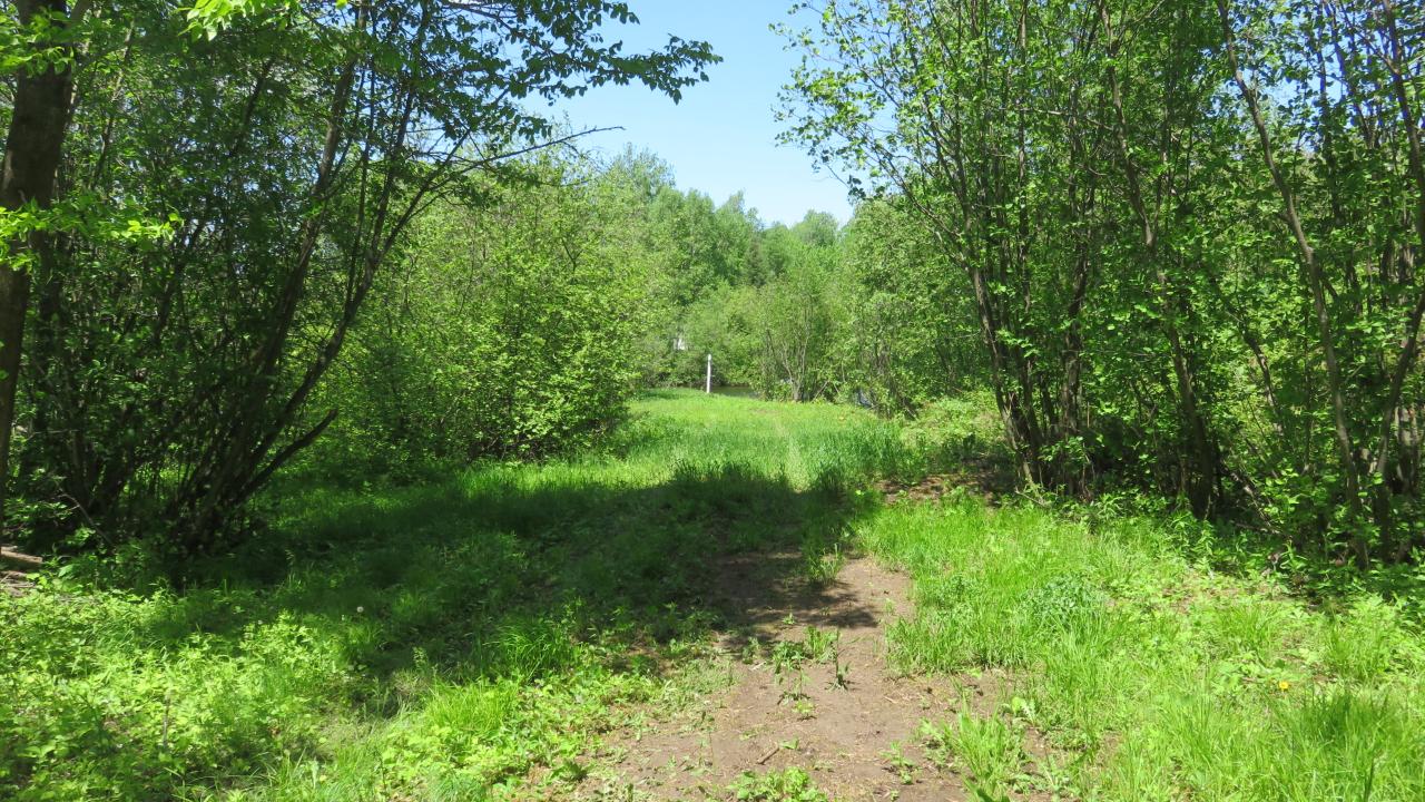 Lot On Townsite Road Presque Isle, WI 54557 - Photo 19 of 36 Gallery Image 19