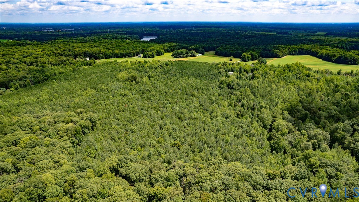 25.5-acres Ladysmith Road Ruther Glen, VA 22546 - Photo 13 of 42 Gallery Image 13