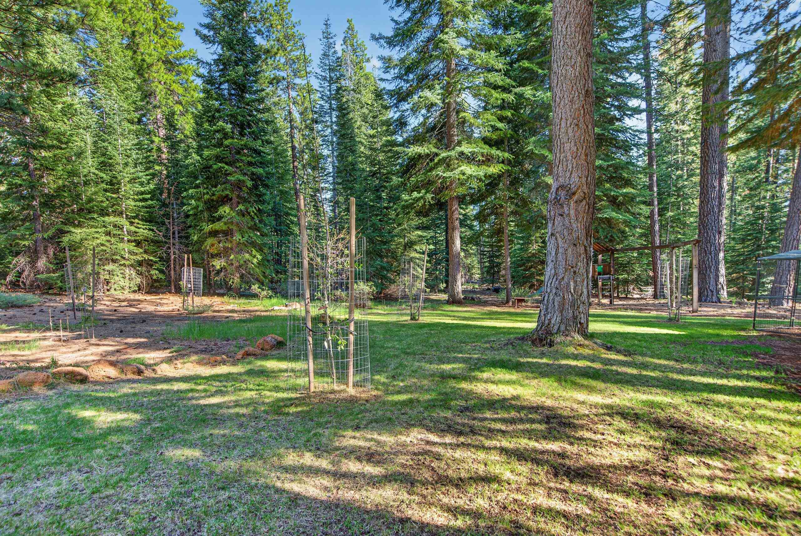 463-000 Moonlight Ranch Rd Westwood Road Susanville, CA 96130 - Photo 46 of 46 a view of a park with large trees