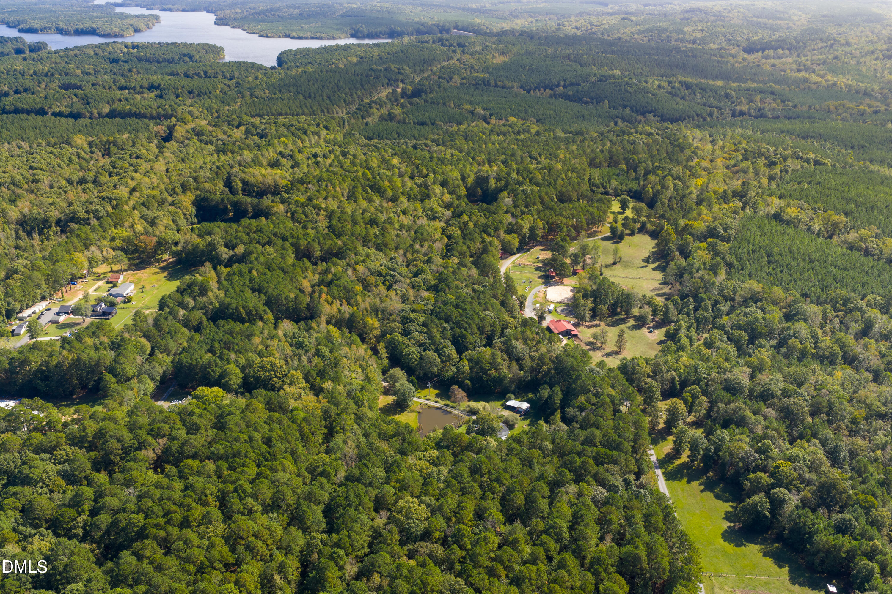 262 Ellis Road Moncure, NC 27559 - Photo 12 of 30 a view of a forest with a lake