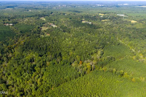 a view of a green field with lots of bushes