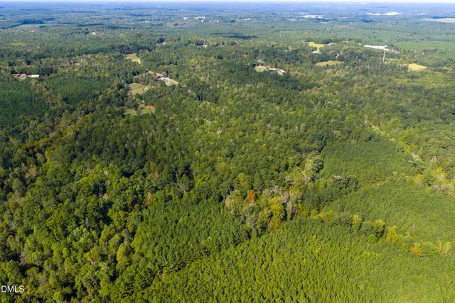 a view of a green field with lots of bushes