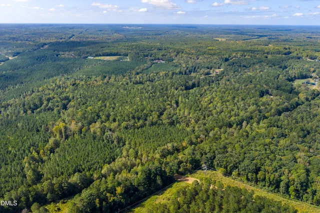 a view of a lush green forest with lots of trees