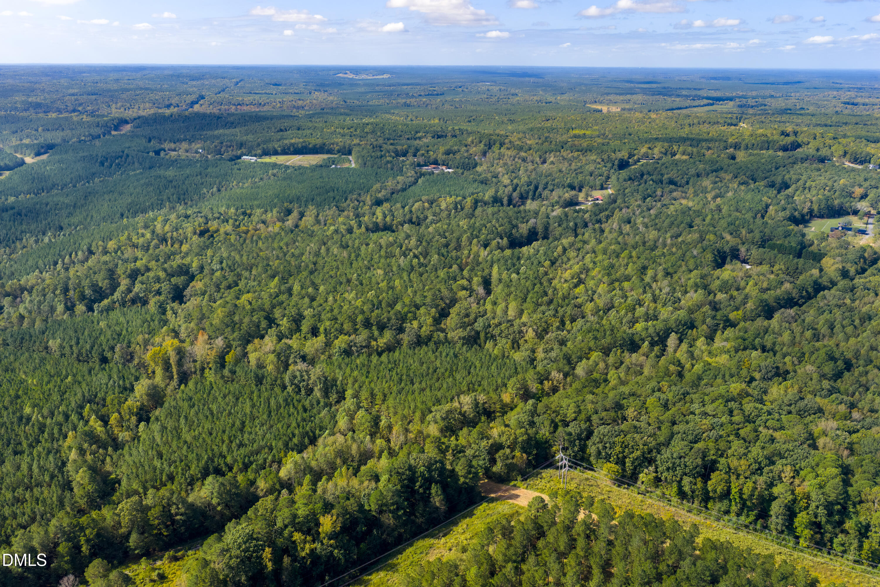 262 Ellis Road Moncure, NC 27559 - Photo 27 of 30 a view of a lush green forest with lots of trees