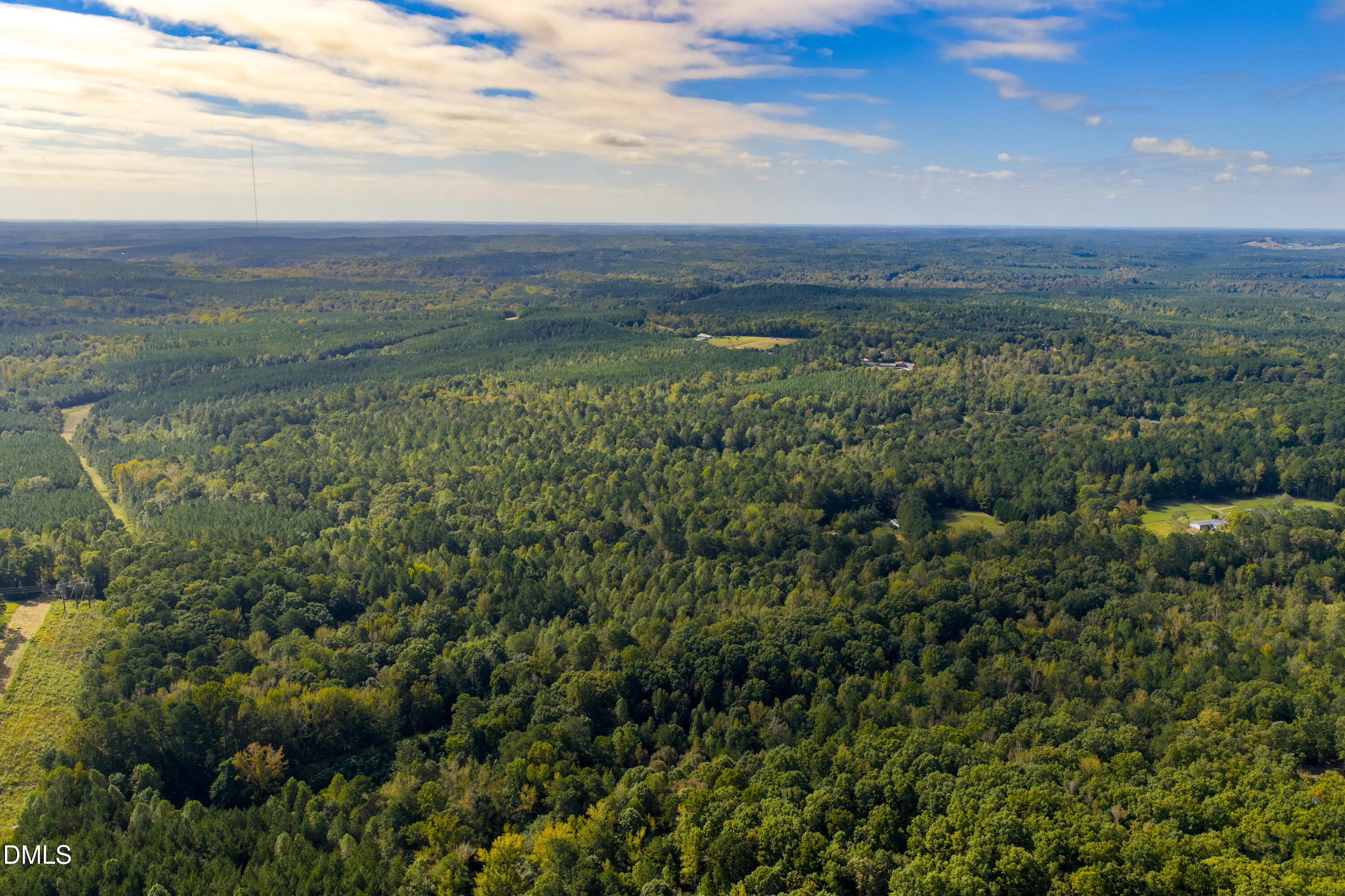 262 Ellis Road Moncure, NC 27559 - Photo 29 of 30 a view of a city with lush green forest
