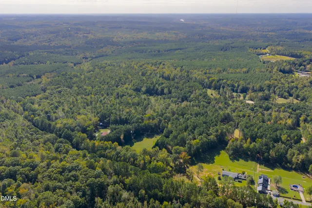 a view of a lush green forest with lots of trees