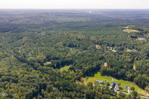 a view of a green field with lots of bushes