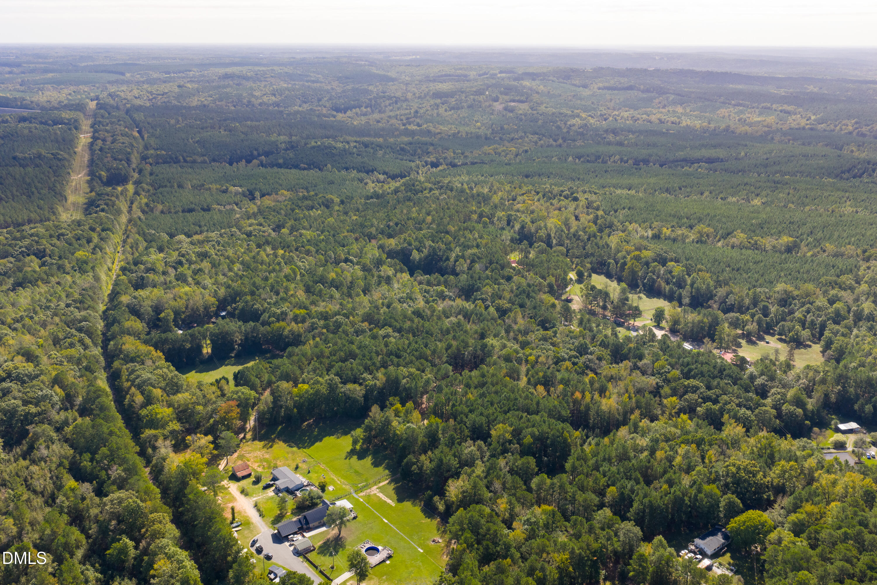 262 Ellis Road Moncure, NC 27559 - Photo 8 of 30 a view of a forest with a yard
