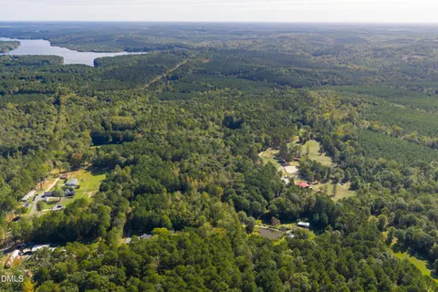 a view of a field with a tree