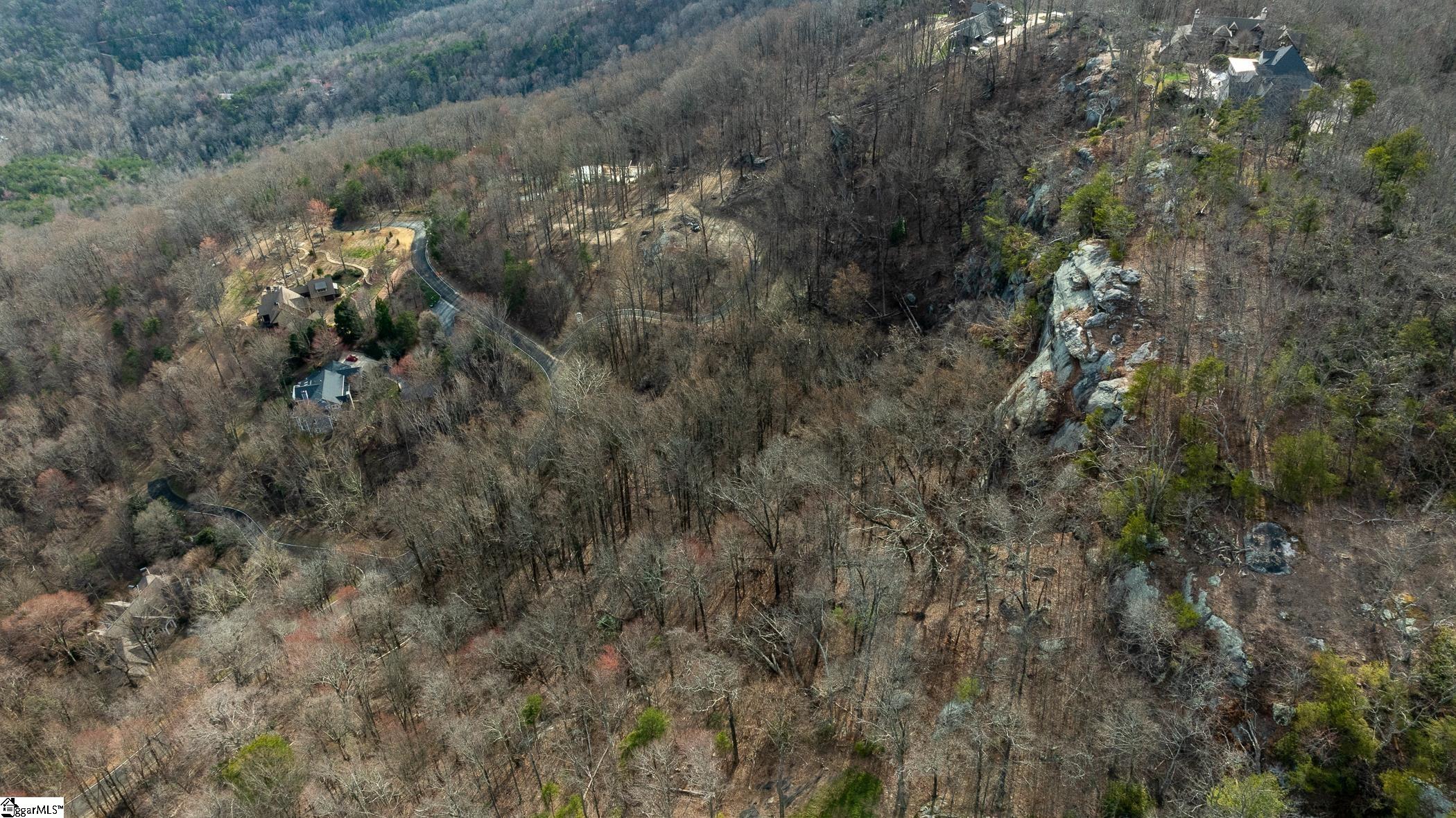 High Country Way Landrum, SC 29356 - Photo 11 of 23