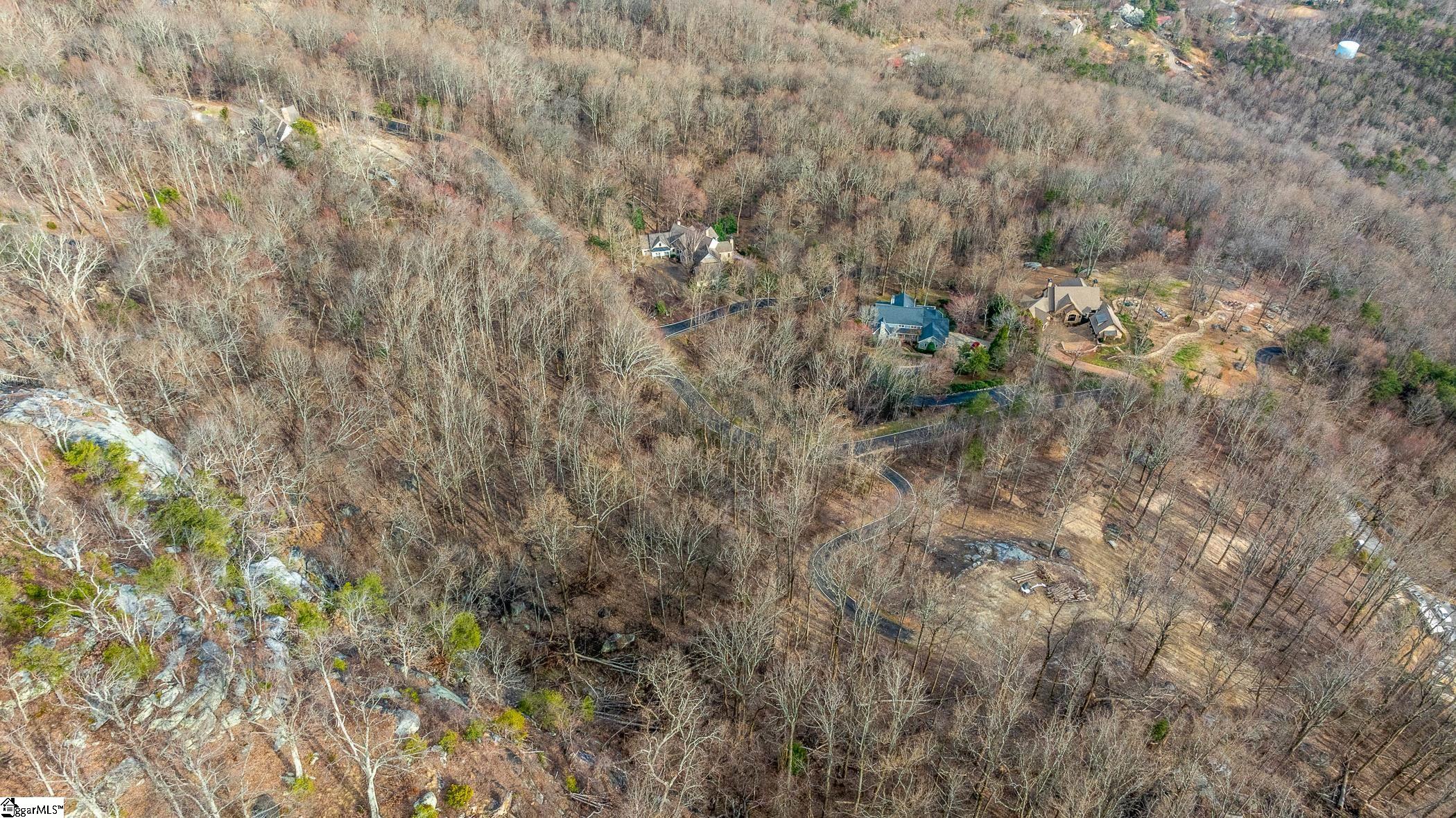 High Country Way Landrum, SC 29356 - Photo 12 of 23