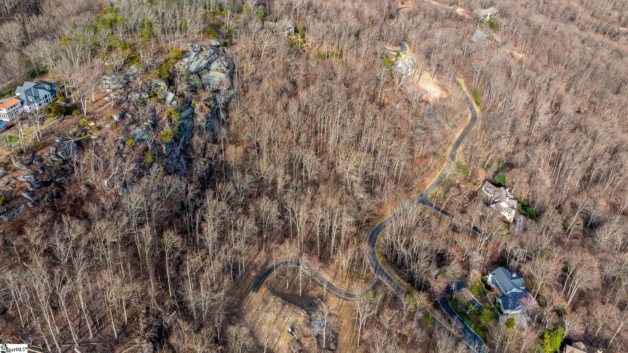 High Country Way Landrum, SC 29356 - Photo 13 of 23