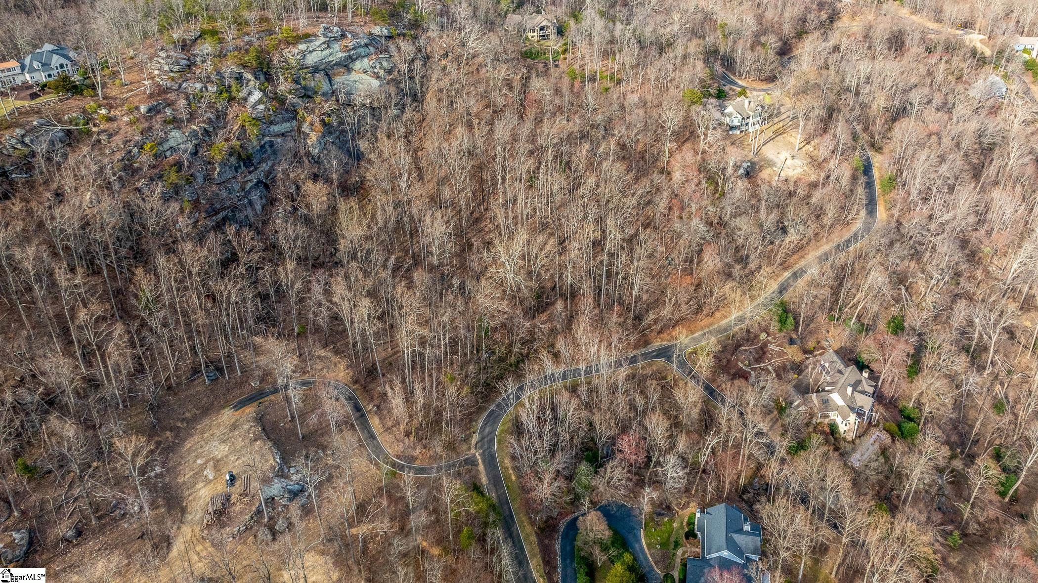 High Country Way Landrum, SC 29356 - Photo 15 of 23