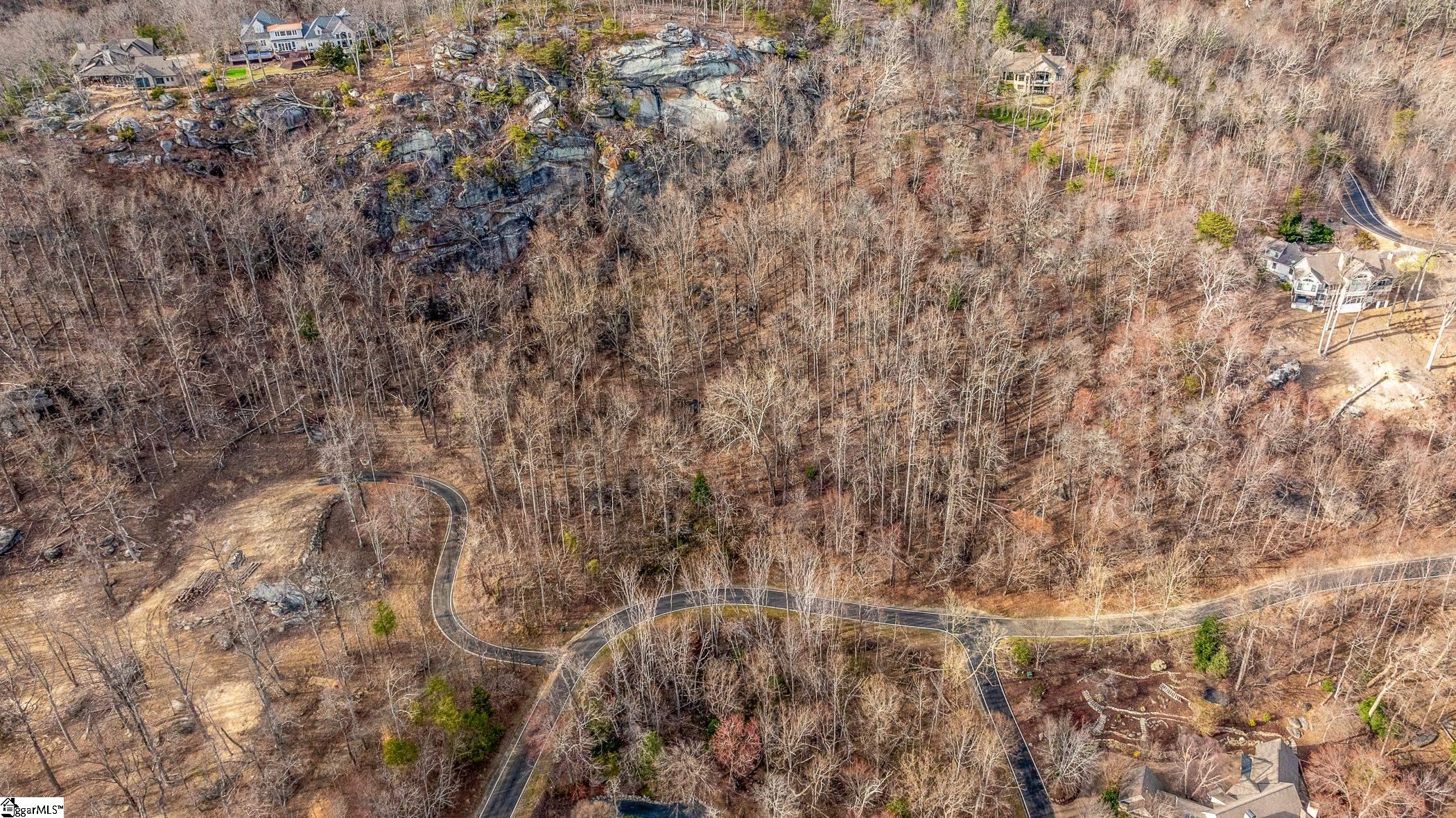 High Country Way Landrum, SC 29356 - Photo 16 of 23