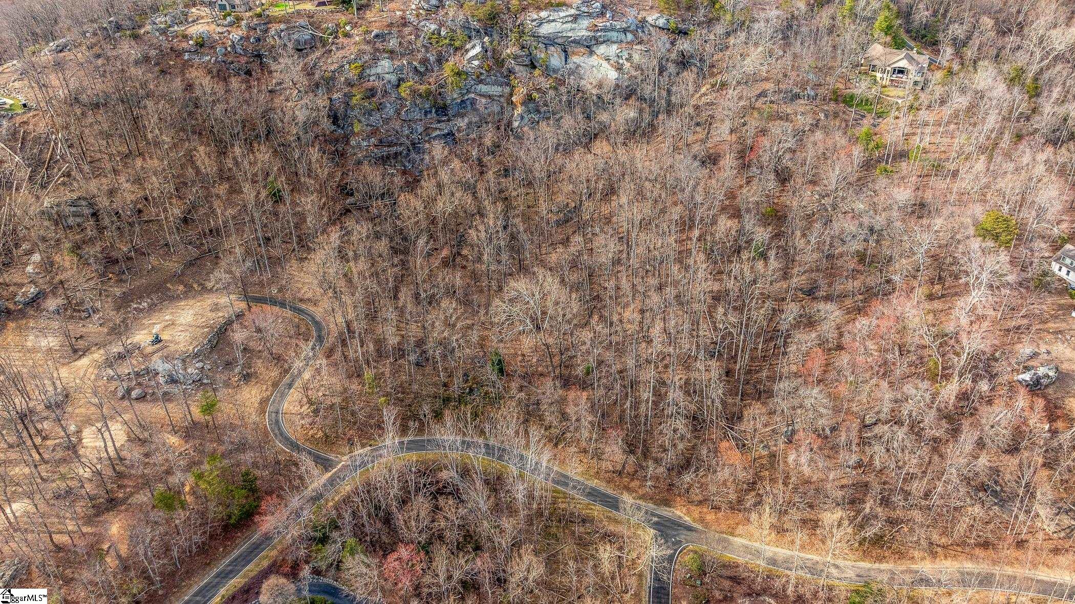 High Country Way Landrum, SC 29356 - Photo 17 of 23