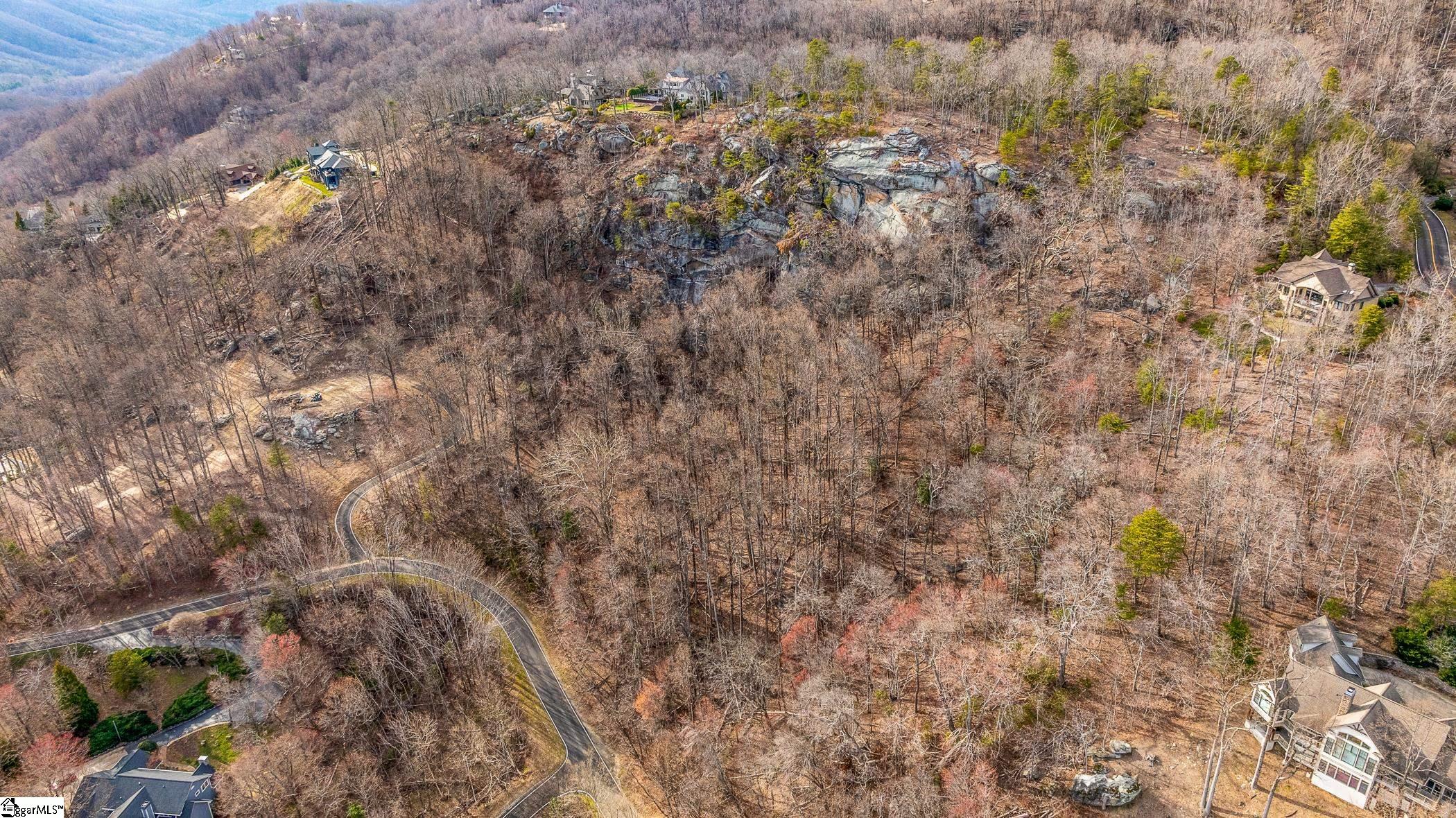 High Country Way Landrum, SC 29356 - Photo 18 of 23