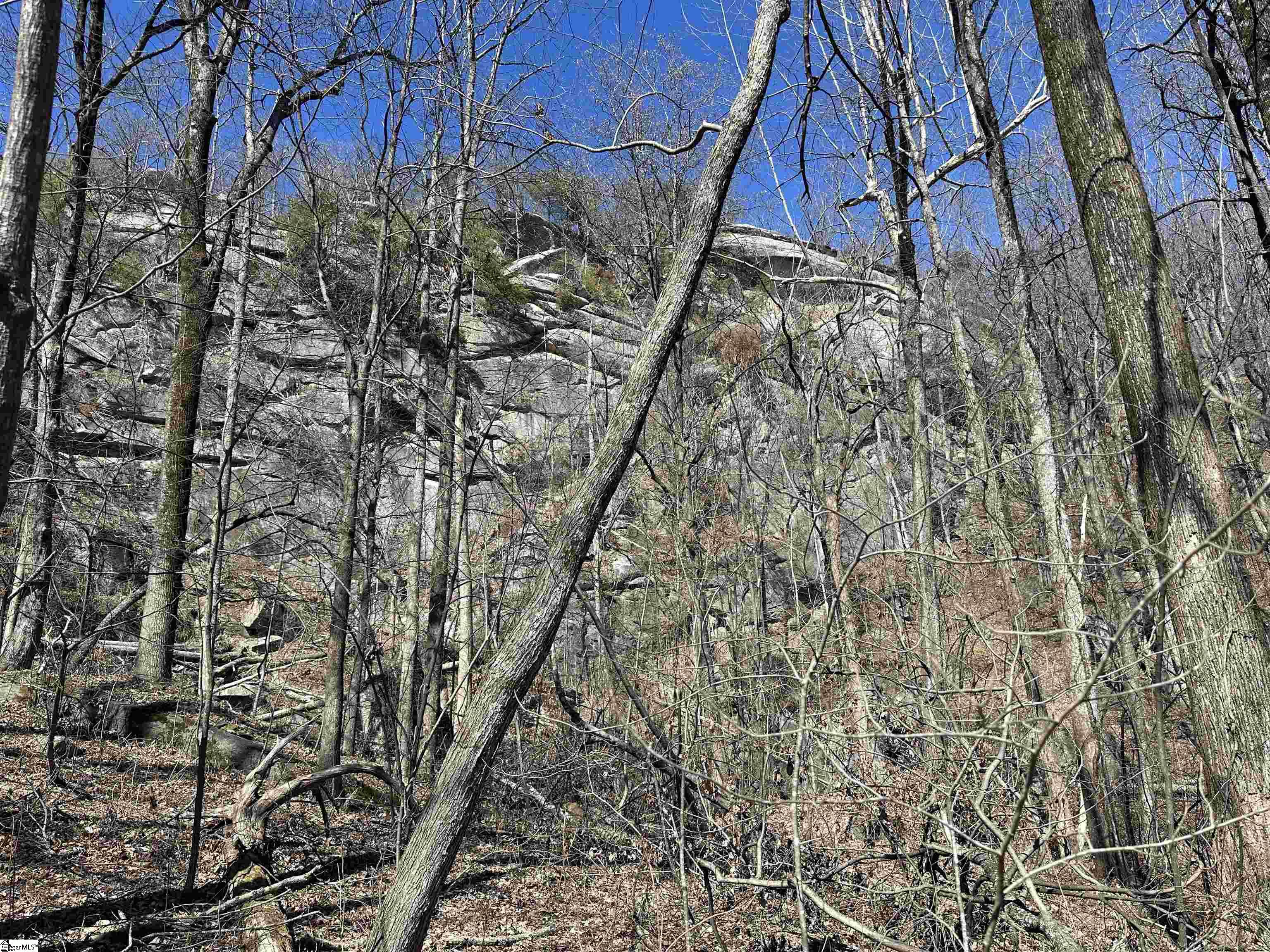 High Country Way Landrum, SC 29356 - Photo 19 of 23