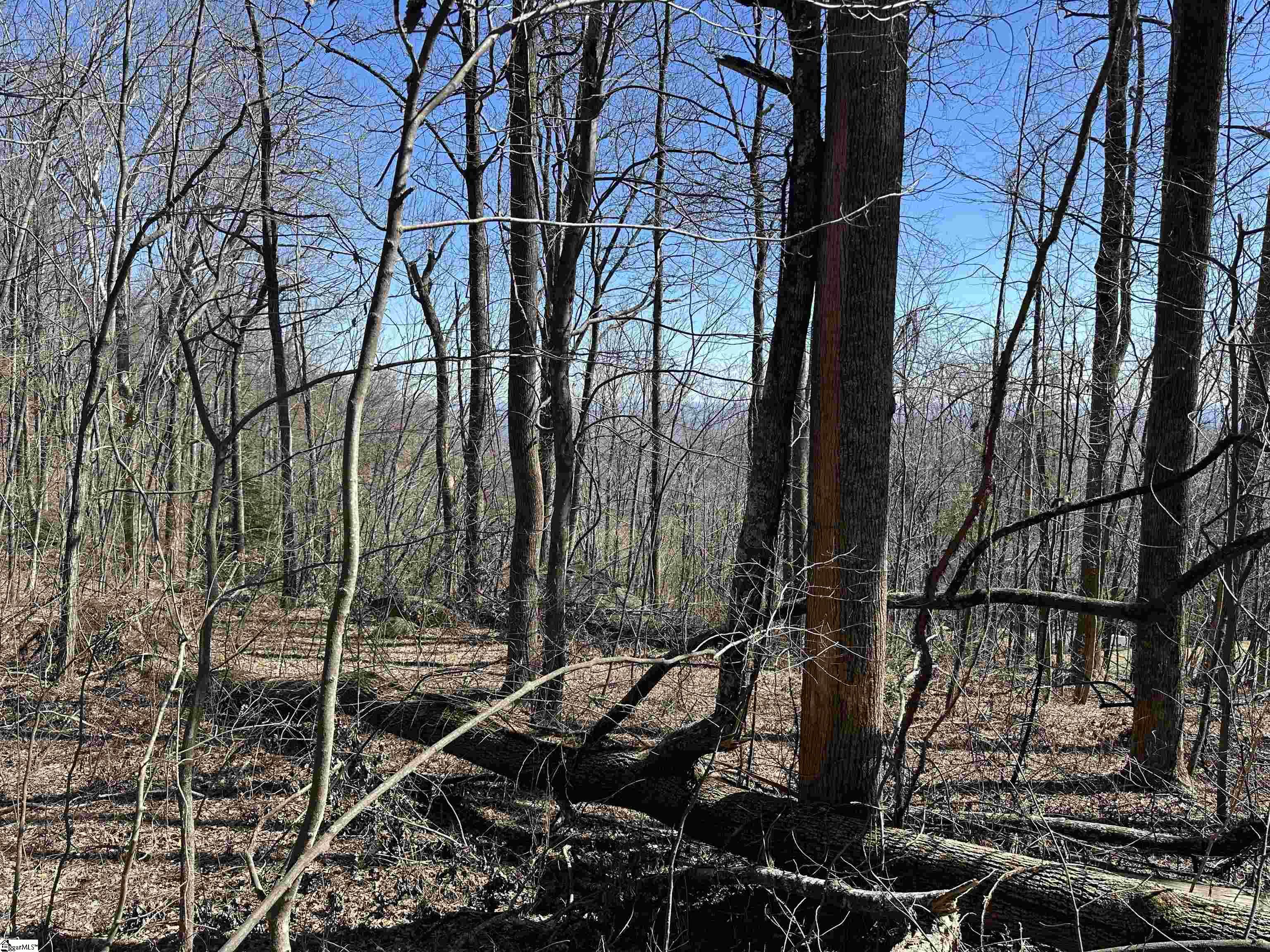 High Country Way Landrum, SC 29356 - Photo 20 of 23