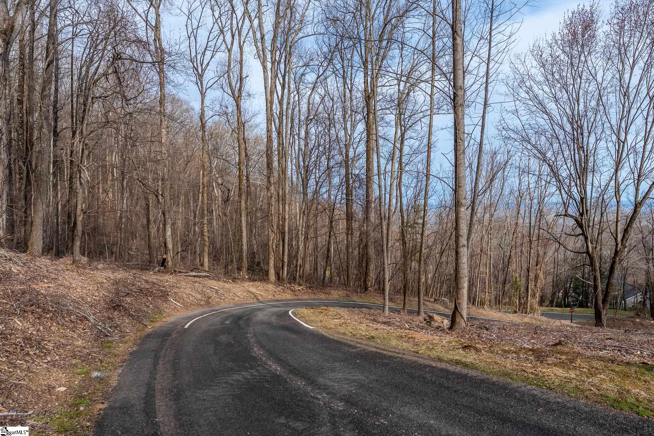 High Country Way Landrum, SC 29356 - Photo 2 of 23