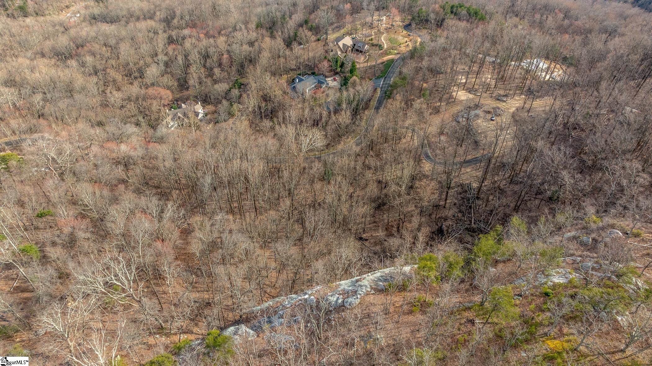 High Country Way Landrum, SC 29356 - Photo 22 of 23